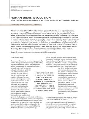 Human Brain Evolution How the Increase of Brain Plasticity Made Us a Cultural Species