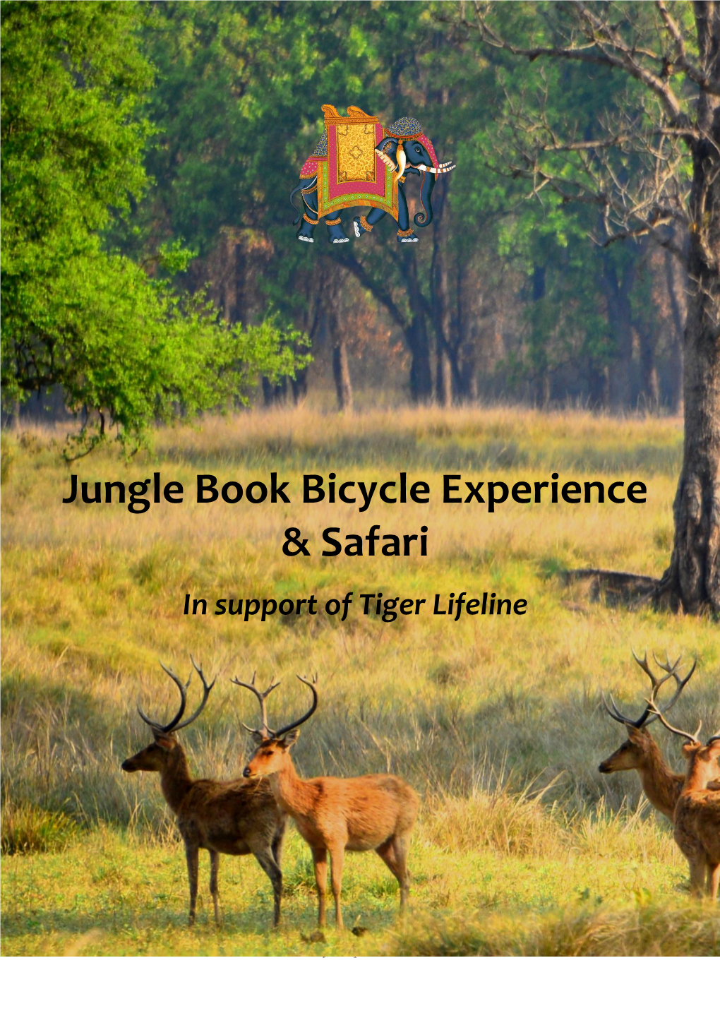 Jungle Book Bicycle Experience & Safari