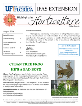 Cuban Tree Frog He's a Bad Boy!!