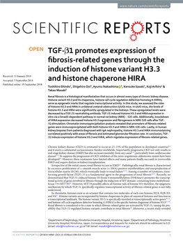 TGF-Β1 Promotes Expression of Fibrosis-Related Genes Through The