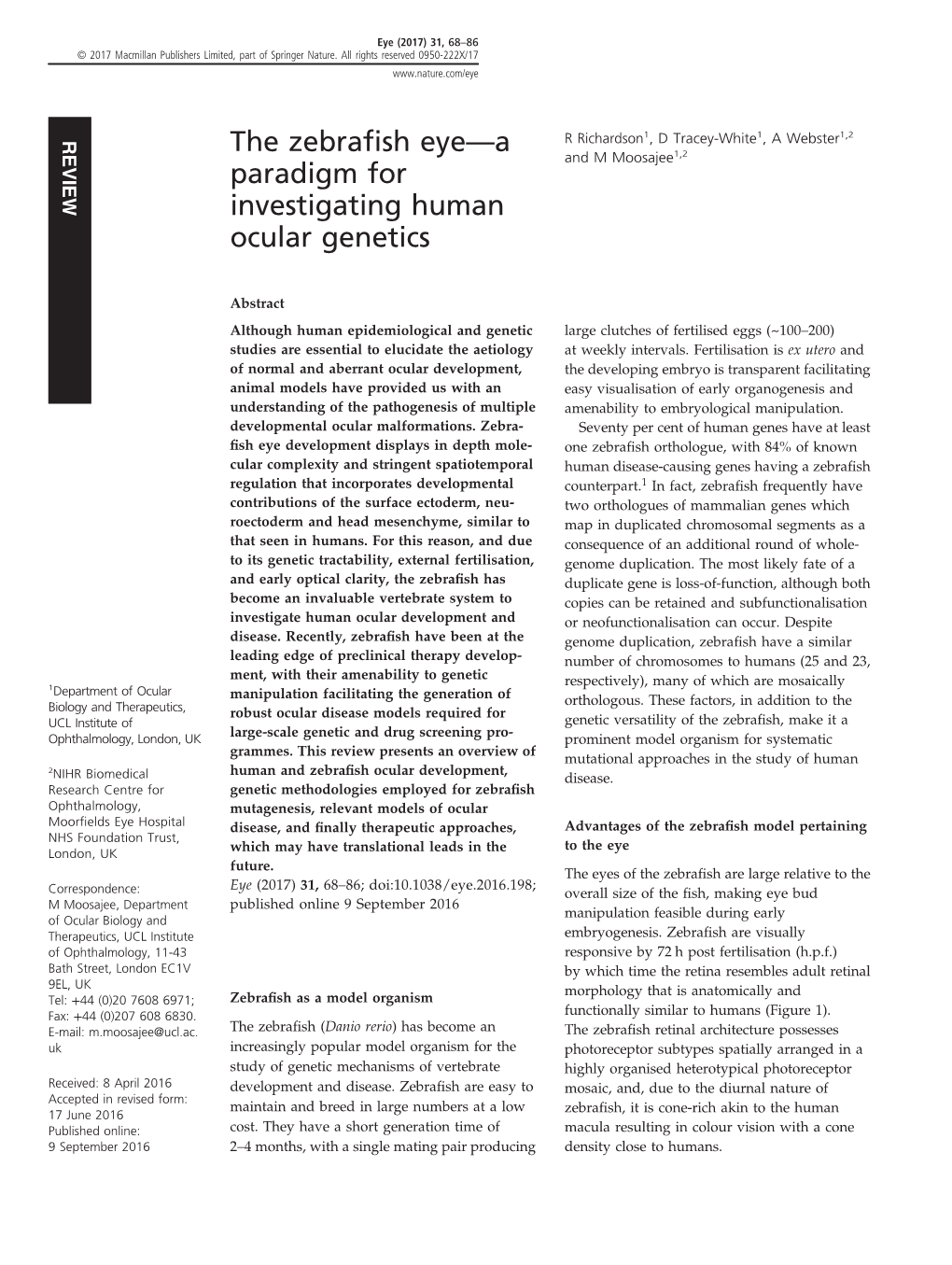 The Zebrafish Eye—A Paradigm for Investigating Human Ocular Genetics