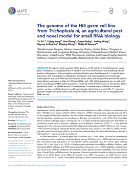 The Genome of the Hi5 Germ Cell Line from Trichoplusia Ni, an Agricultural
