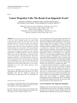 Cancer Progenitor Cells