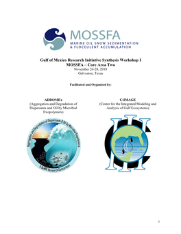 Gulf of Mexico Research Initiative Synthesis Workshop I MOSSFA – Core Area Two November 26-28, 2018 Galveston, Texas