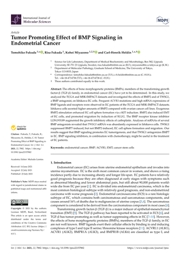 Tumor Promoting Effect of BMP Signaling in Endometrial Cancer
