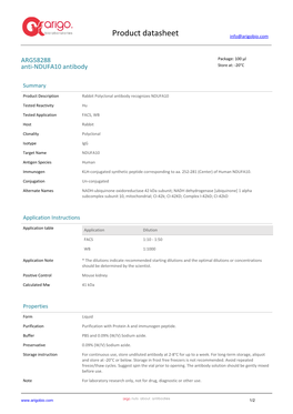 Anti-NDUFA10 Antibody (ARG58288)