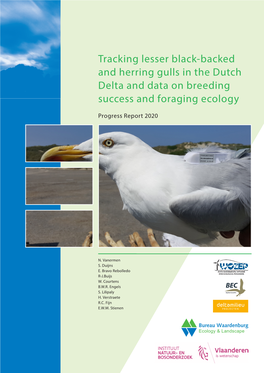 Tracking Lesser Black-Backed and Herring Gulls in the Dutch Delta and Data on Breeding Success and Foraging Ecology