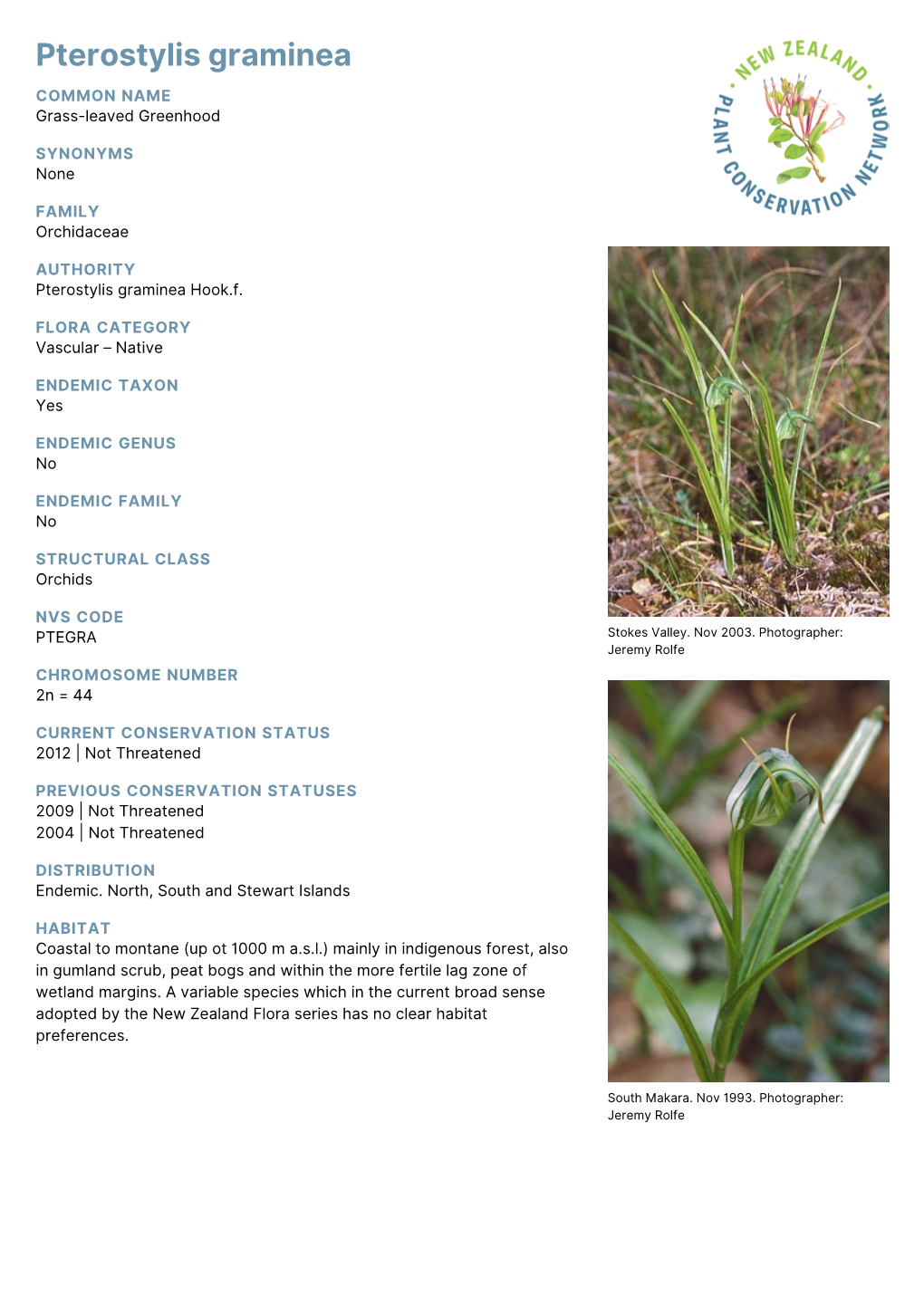 Pterostylis Graminea