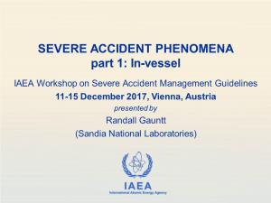 SEVERE ACCIDENT PHENOMENA Part 1: In-Vessel
