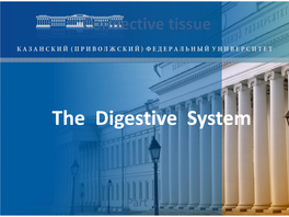 The Digestive System