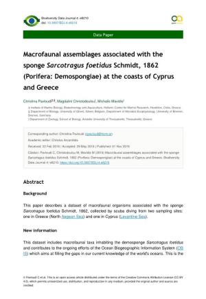 Macrofaunal Assemblages Associated with the Sponge Sarcotragus Foetidus Schmidt, 1862 (Porifera: Demospongiae) at the Coasts of Cyprus and Greece