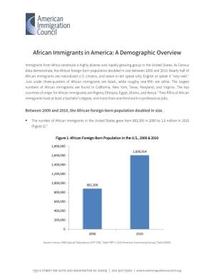 African Immigrants in America: a Demographic Overview