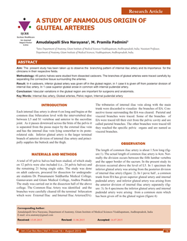 A STUDY of ANAMOLOUS ORIGIN of GLUTEAL ARTERIES IJCRR Section: Healthcare Sci