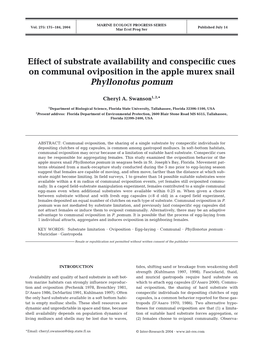 Effect of Substrate Availability and Conspecific Cues on Communal Oviposition in the Apple Murex Snail Phyllonotus Pomum