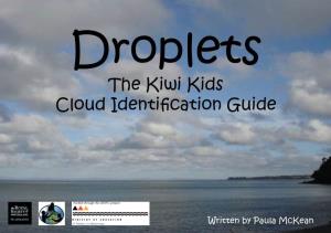 The Kiwi Kids Cloud Identification Guide