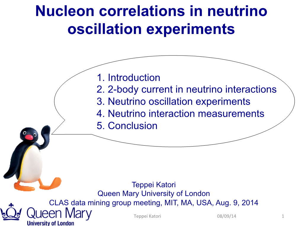Nucleon Correlations in Neutrino Oscillation Experiments