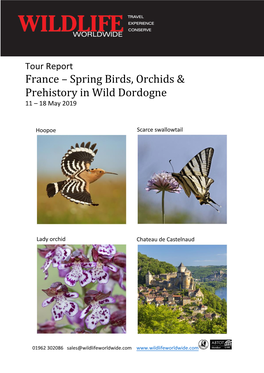 Spring Birds, Orchids & Prehistory in Wild Dordogne