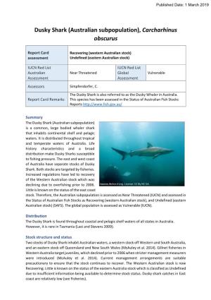 Dusky Shark (Australian Subpopulation), Carcharhinus Obscurus