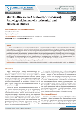 Marekʼs Disease in a Peafowl (Pavomuticus); Pathological, Immunohistochemical and Molecular Studies