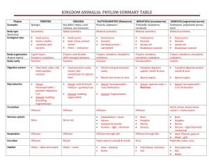 Kingdom Animalia: Phylum Summary Table