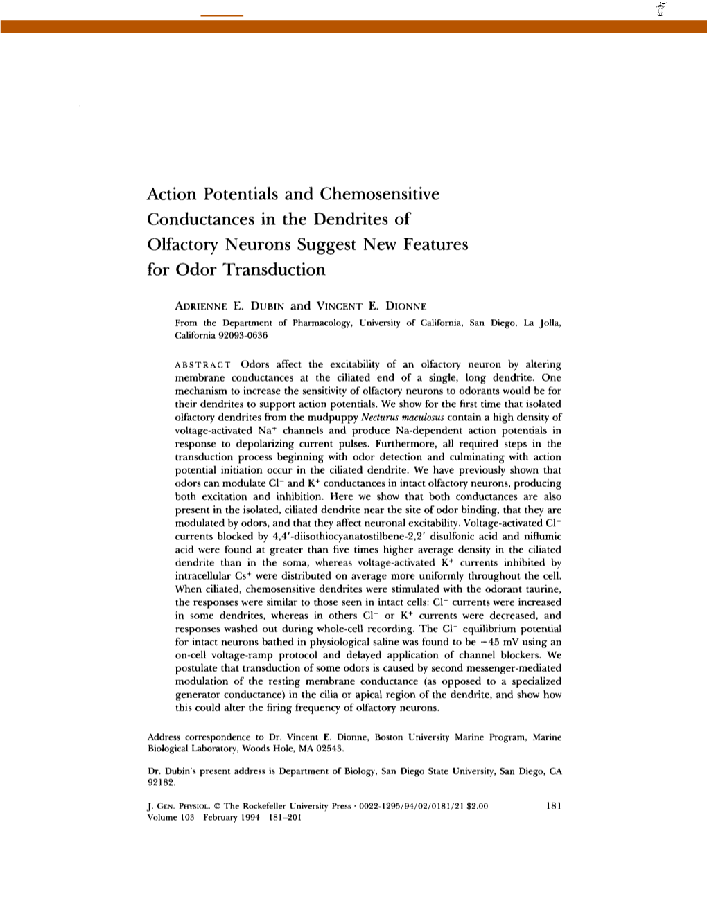 Action Potentials and Chemosensitive Conductances in the Dendrites of Olfactory Neurons Suggest New Features for Odor Transduction