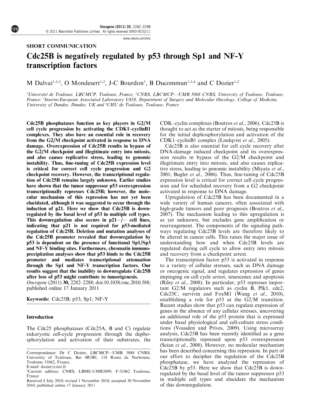 Cdc25b Is Negatively Regulated by P53 Through Sp1 and NF-Y Transcription Factors