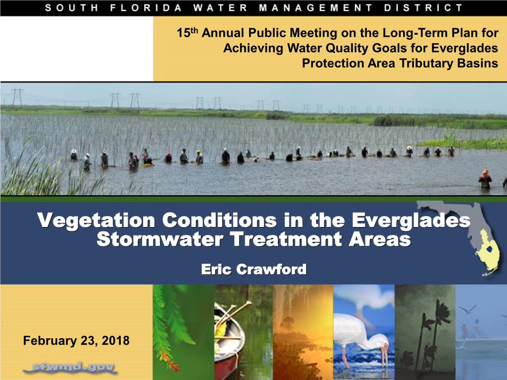 STA Vegetation Conditions, February 23, 2018