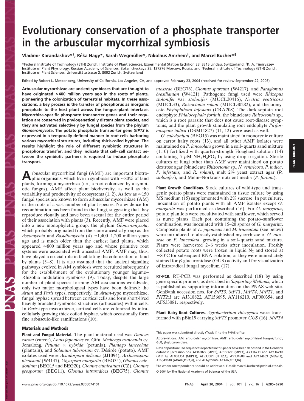 Evolutionary Conservation of a Phosphate Transporter in the Arbuscular Mycorrhizal Symbiosis