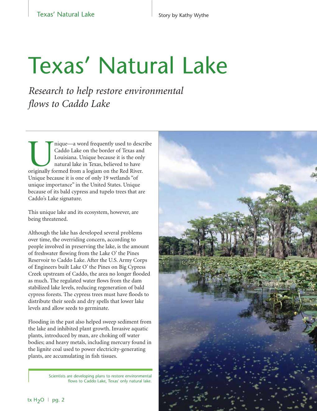 Texas' Natural Lake