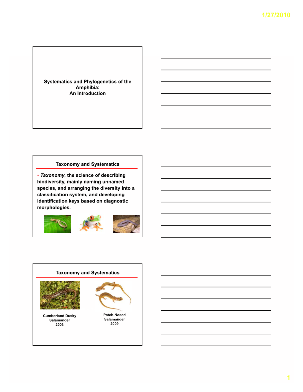 Systematics and Phylogenetics of the Amphibia: an Introduction