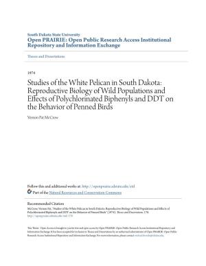 Studies of the White Pelican in South Dakota