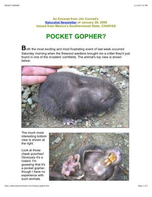 Pocket Gopher? 3/1/09 7:52 Pm