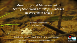Monitoring and Management of Starry Stonewort (Nitellopsis Obtusa) in Wisconsin Lakes