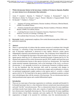 Whole-Chromosome Fusions in the Karyotype Evolution of Sceloporus (Iguania, Reptilia) 2 Are More Intense in Sex Chromosomes Than Autosomes 3 4 Artem P