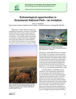Entomological Opportunities in Grasslands National Park – an Invitation