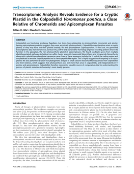 Transcriptomic Analysis Reveals Evidence for a Cryptic Plastid in the Colpodellid Voromonas Pontica, a Close Relative of Chromerids and Apicomplexan Parasites