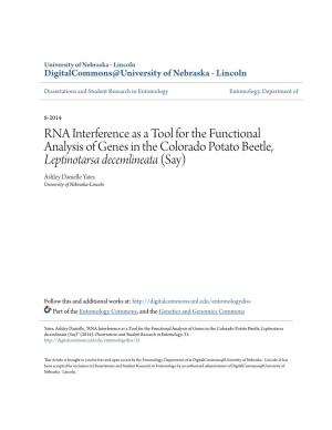 RNA Interference As a Tool for the Functional Analysis of Genes in The