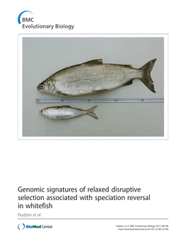 Genomic Signatures of Relaxed Disruptive Selection Associated with Speciation Reversal in Whitefish Hudson Et Al