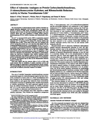 Effect of Adenosine Analogues on Protein Carboxyimethyltransferase