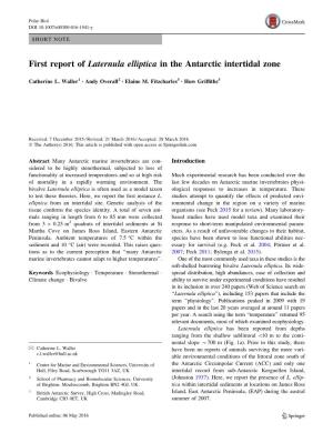 First Report of Laternula Elliptica in the Antarctic Intertidal Zone
