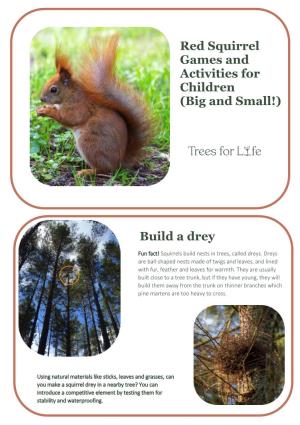 Red Squirrel Games and Activities for Children (Big and Small!) Build a Drey