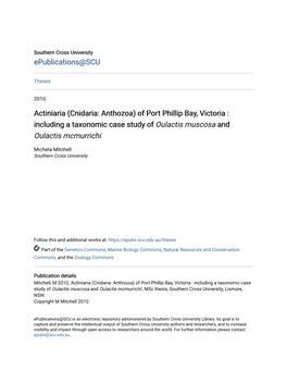 Actiniaria (Cnidaria: Anthozoa) of Port Phillip Bay, Victoria : Including a Taxonomic Case Study of Oulactis Muscosa and Oulactis Mcmurrichi