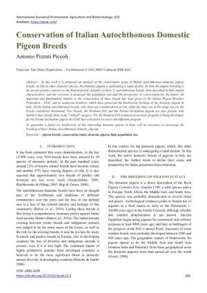 Conservation of Italian Autochthonous Domestic Pigeon Breeds Antonio Pizzuti Piccoli