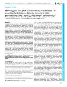 Heterozygous Disruption of Activin Receptor-Like Kinase 1 Is Associated with Increased Arterial Pressure in Mice Marıá González-Núñez1,2,3, Adela S