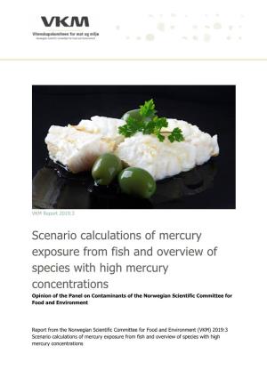 Scenario Calculations of Mercury Exposure