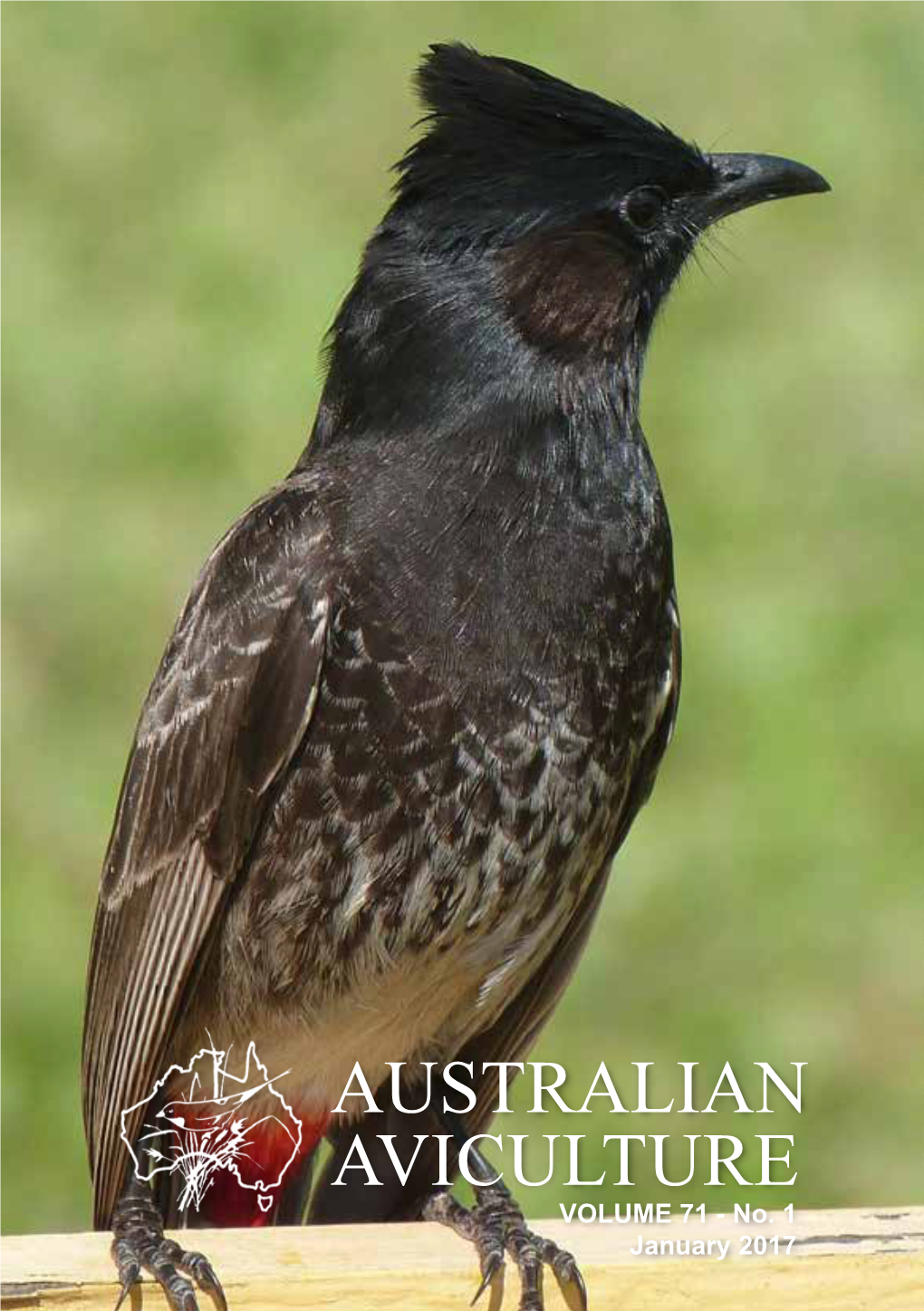 AUSTRALIAN AVICULTURE VOLUME 71 - No