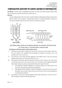 Comparative Anatomy of Aortic Arches in Vertebrates