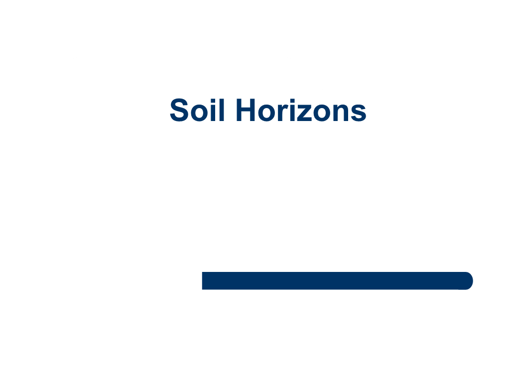 Soil Physical Properties