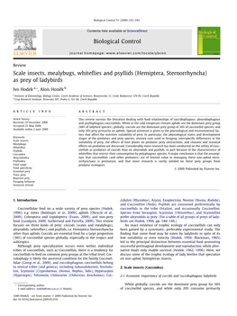 Scale Insects, Mealybugs, Whiteflies and Psyllids (Hemiptera