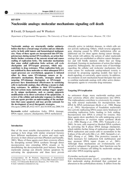Nucleoside Analogs: Molecular Mechanisms Signaling Cell Death